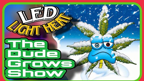 Cooling Your Cannabis: Tips for Managing Heat in LED Grow Rooms - The Dude Grows Show 1,477