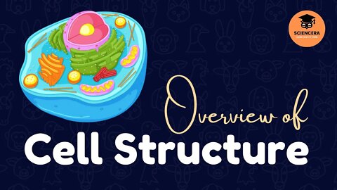 Biology: Cell Structure | Introduction and Overview of Cell - Sciencera