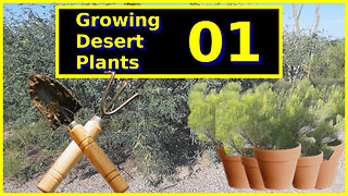 Growing Desert Plants Part 01