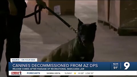 AZ DPS K9s decommissioned after passage of recreational pot law