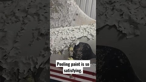 Peeling Paint is so Satisfying!
