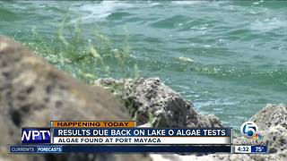 Algae test results expected to be released Wednesday