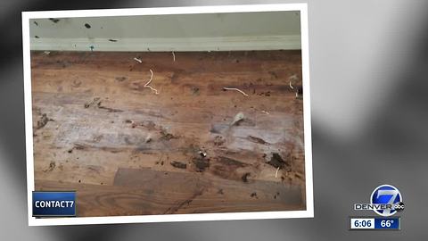 Viewers want to help couple after home was trashed and covered in feces