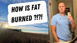 #19 - How Fat Is Burned !!!