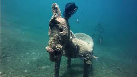 Escultura de burro é encontrada no fundo do Mar Vermelho
