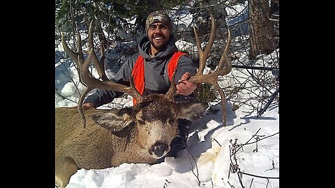 Monster Double Drop Tine High Country Public Land Mule Deer (DIY) ~ Episode 2