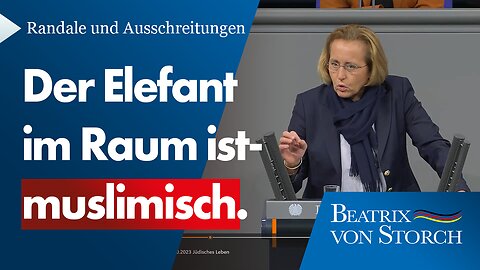 Beatrix von Storch (AfD) - Der Elefant im Raum ist- muslimisch.