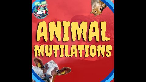 Animal Mutilations