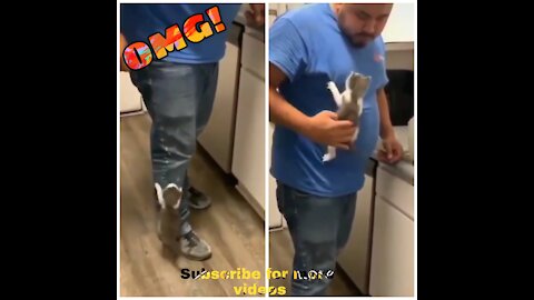 Cute cat crawling on to the owner|Best relationship between men and cat ever ♥️