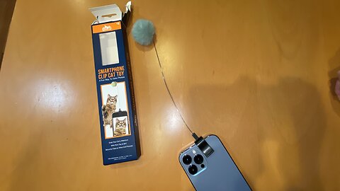 Smartphone Clip Cat Toy 10.25in Purchased at % & Below five below