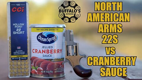 TINY REVOLVER vs CRANBERRY SAUCE 🦃