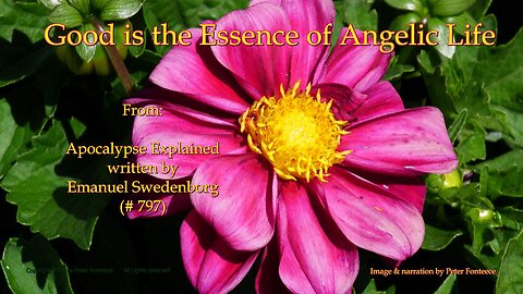 Good is the Essence of Angelic Life