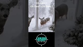 Oh Deer !