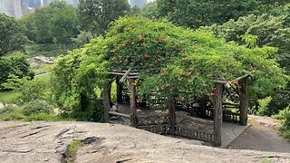 Summerhouse at the Dene > Conservatory Water (Central Park)