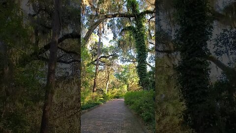 The Red Brick Road in the Golden Hour 08 #shorts