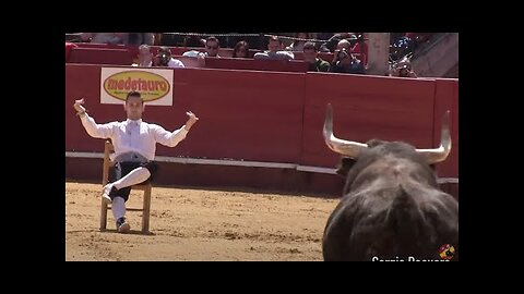 Campeonato con toros 'Recortador De Oro' 🎖 · Valencia _Fallas