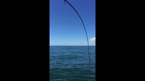 Fishing Rod snaps from lifting heavy fish