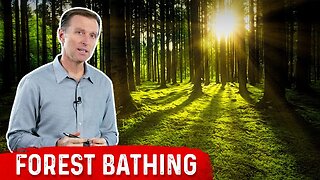 Use Forest Bathing for Immune Boosting