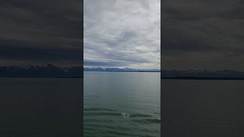 Queen Elizabeth Approaching Hubbard Glacier!