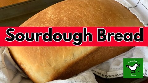 Basic Sourdough Bread Recipe- So Easy and Delicious