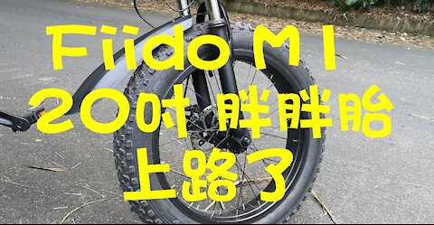 Fiido M1 20吋胖胖胎電動腳踏車, 摺疊車, 電輔車, 登山車上路了