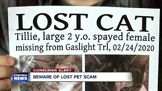 Beware of lost pet scam