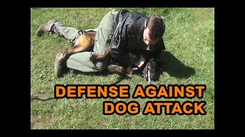 How to Protect Against a Dog Attack - Train your dog obey commands