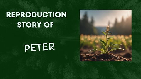 Peter's story of reproduction/