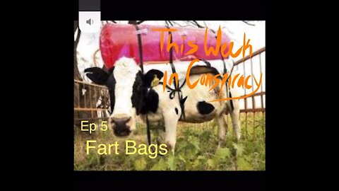 Episode 5. Fart Bags
