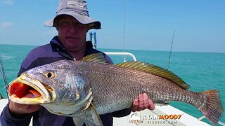 Fishing charter from Darwin catching barra, black jew and sailfish Part 1