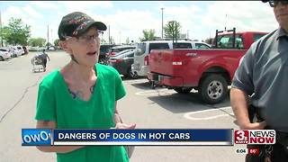 Dangers of leaving dogs trapped in hot cars