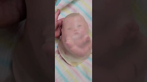 Womb Bag - How Babies are born