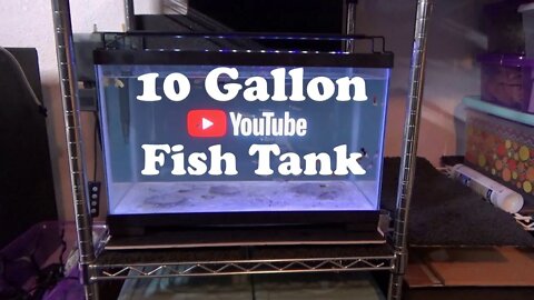 Fish Tank Background Light Screen - TV