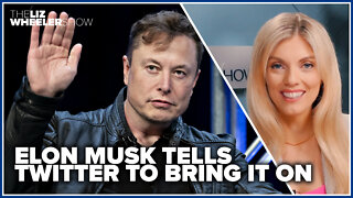 Elon Musk tells Twitter to bring it on