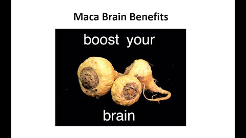 Maca- Adaptogenic Health Benefits