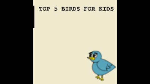 TOP 5 Pet Birds Great for Kids