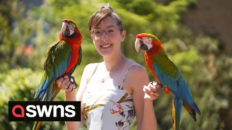 UK woman has trained pet parrot to fly freely around national park and return to her