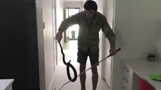 Snedig slange bliver fundet bag et køleskab