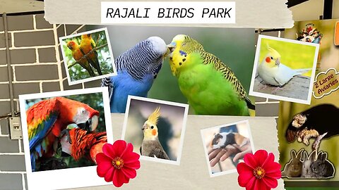 Rajali Birds Park Thanjavur | 20 different Country birds