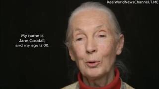 World Economic Forum "Agenda Contributor" And UN "Messenger Of Peace", Jane Goodall - Depopulation