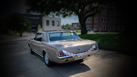 Mustang Getaway (1965 Mustang)