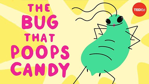 The bug that poops candy