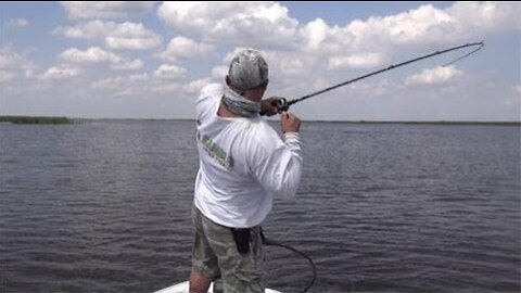 Catch and Release and the Florida Trophy Catch Program