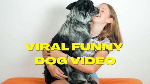 MOST FUNNY VIRAL DOG VIDEOS / LAUGHTER NEVER STOPPING.