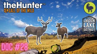 The Hunter: Call of the Wild, Doc #28 Layton Lakes