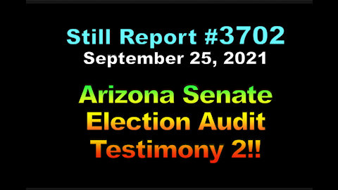 Arizona Senate Election Audit Testimony 2, 3702