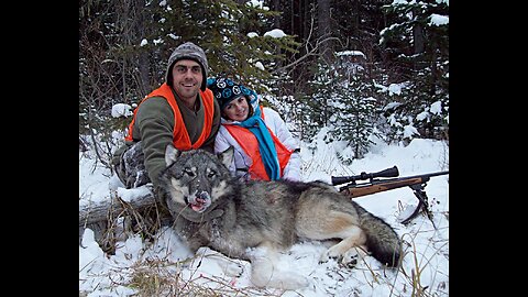 Public Land Wolf Hunting 4
