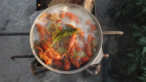 Crayfish cook in water with spices and herbs. Hot Boiled Crawfish. Lobster closeup. Top view85