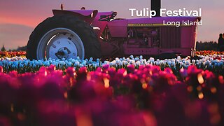 Tulip Festival at Long Island