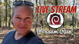 Let’s Do This Again! | Live Stream | Woman Builds Tiny House in the Woods